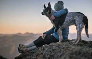 “I want to walk like you, talk like you”: dogs match their owners’ personality (Video)