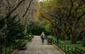 woman walking down stone path