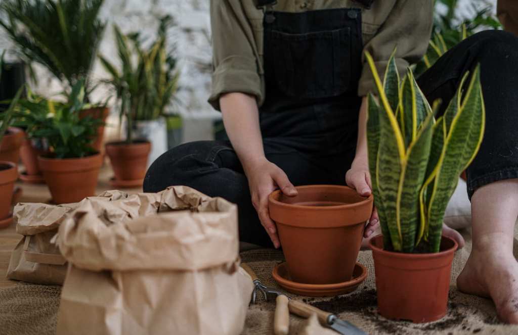 Green spaces and home gardening: Caring, cultivating, and coming to terms with impermanence